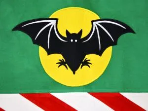 slavnostní ručně šitá sametová vlajka obce Dolní Hořice